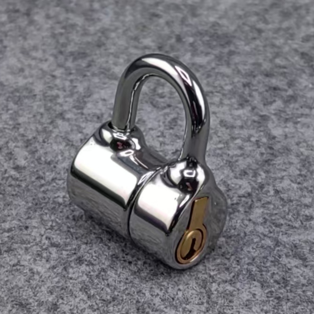 Small Size PA D Ring Lock