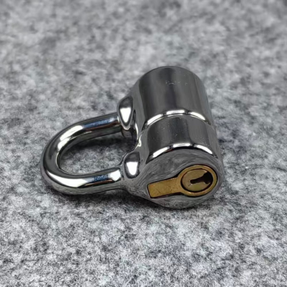 Small Size PA D Ring Lock