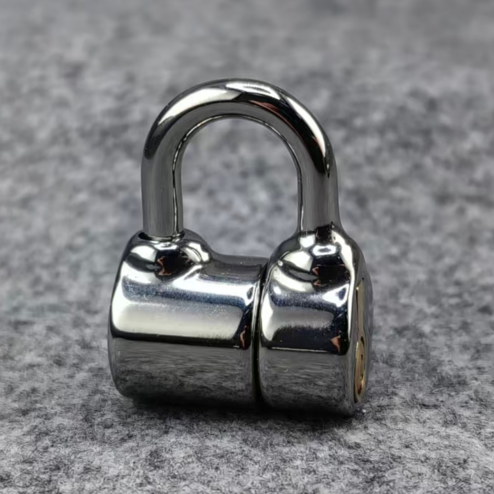 Small Size PA D Ring Lock
