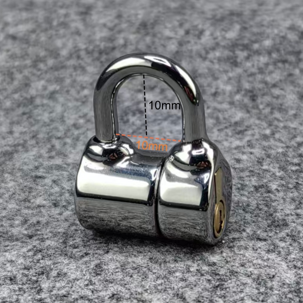 Small Size PA D Ring Lock