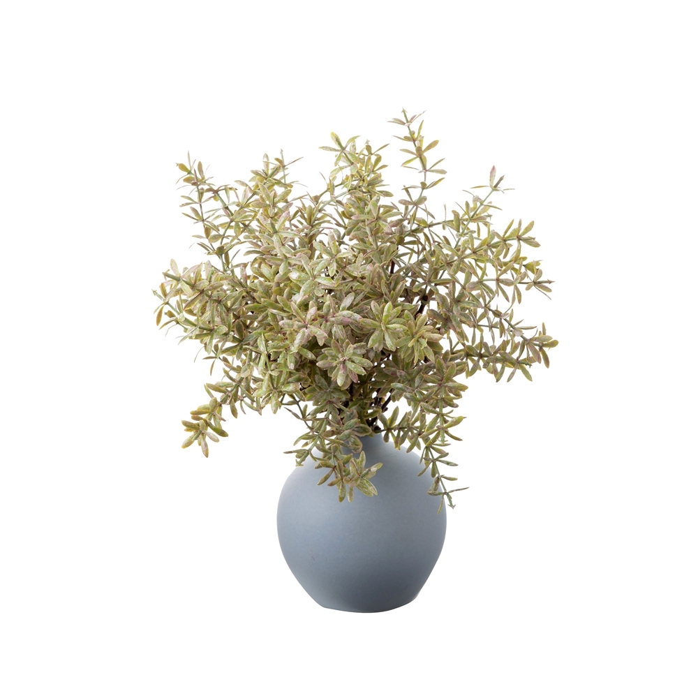 YC1099 Factory Direct Sale Artificial Flower Plastic Plant Licorice Leaf Bunch for Decorative Flowers and Plants