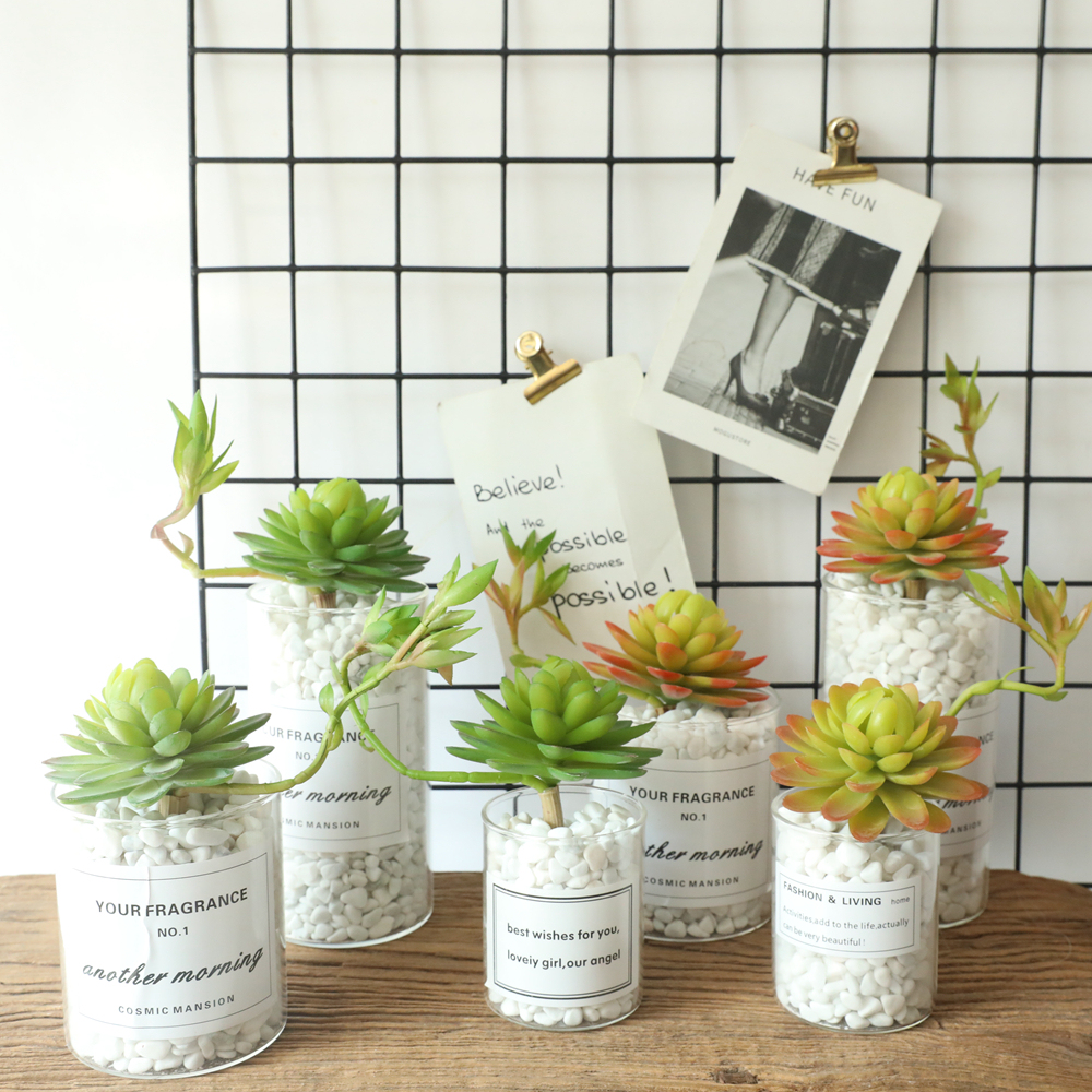 MW17693 Factory Direct Sale Artificial Plastic Succulent Plants Water Lily/Lotos/Candock Succulent Branch For Mother's Day gift