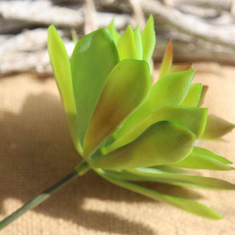 MW17698 Wholesale Artificial Succulent Plants Arrangements Lotus/ Pistia Stratiotes Succulent Pick For Christmas Decoration