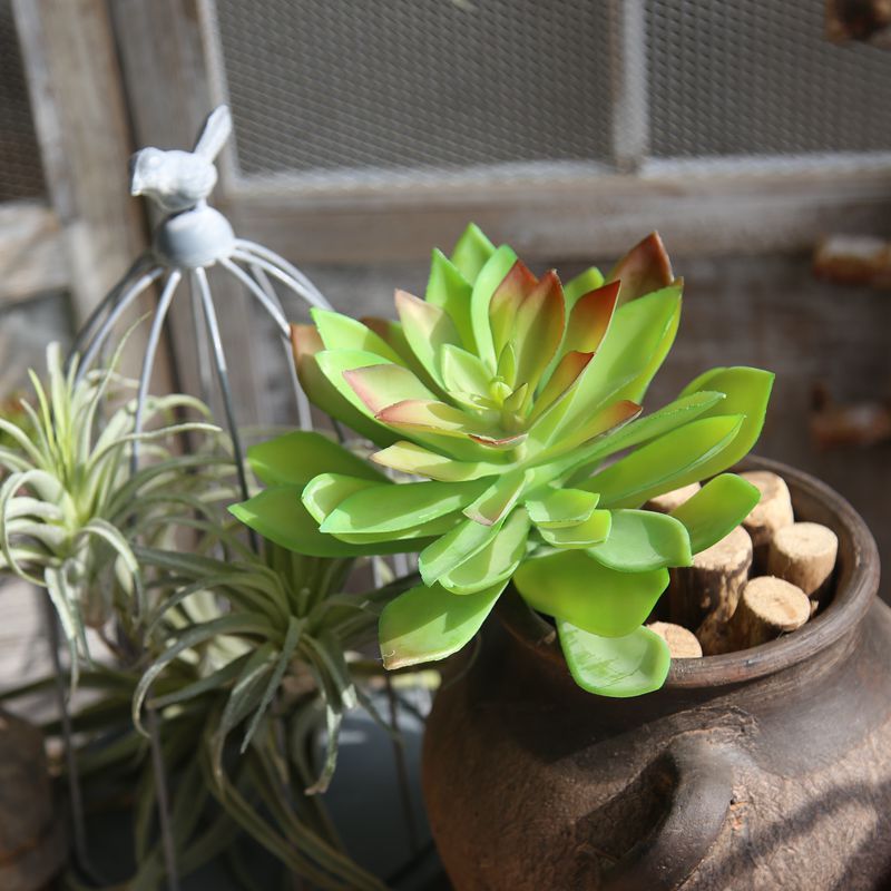 MW17698 Wholesale Artificial Succulent Plants Arrangements Lotus/ Pistia Stratiotes Succulent Pick For Christmas Decoration