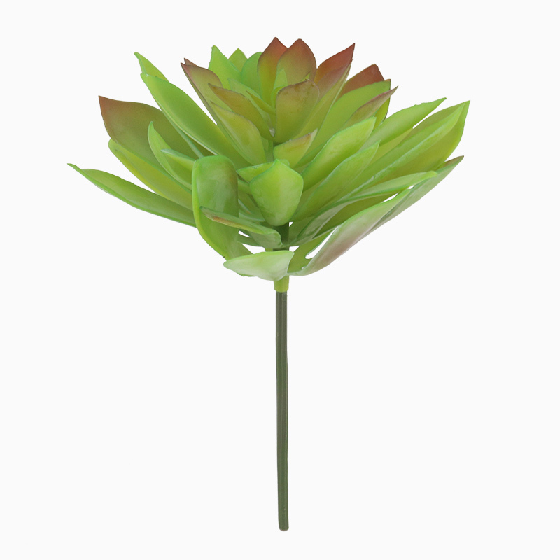 MW17698 Wholesale Artificial Succulent Plants Arrangements Lotus/ Pistia Stratiotes Succulent Pick For Christmas Decoration