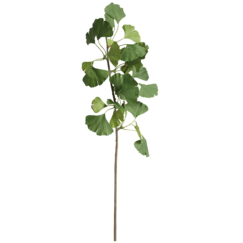 DY1-2575 Factory Direct Sale real touch Artificial Flower Plant Ginkgo Leaf yellow/green leaves for Flower Wall Backdrop