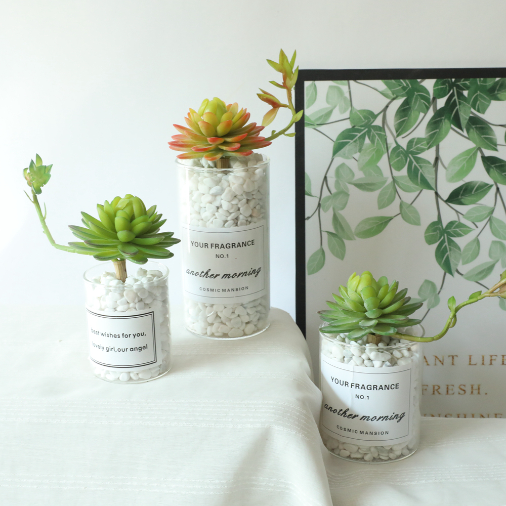 MW17693 Factory Direct Sale Artificial Plastic Succulent Plants Water Lily/Lotos/Candock Succulent Branch For Mother's Day gift