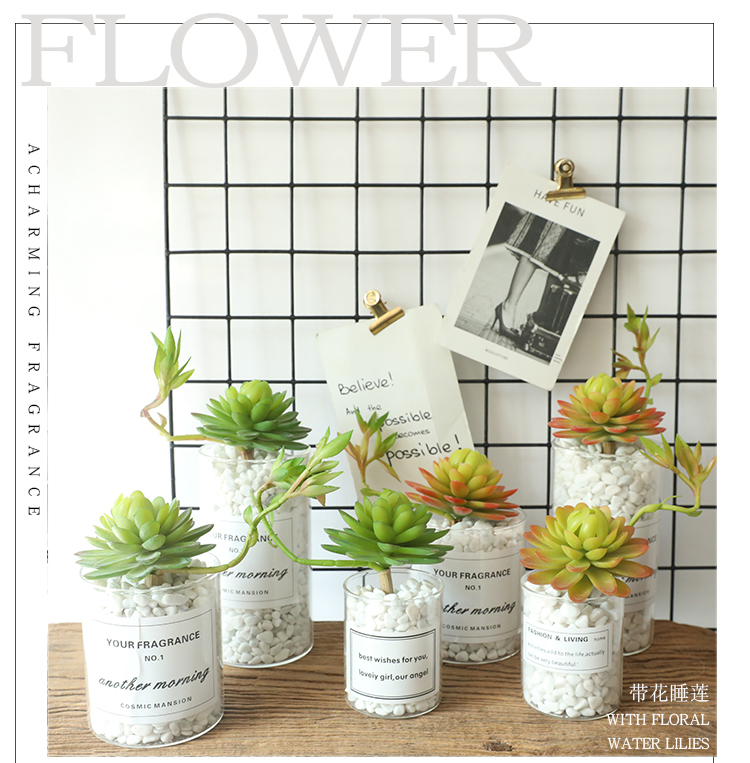 MW17693 Factory Direct Sale Artificial Plastic Succulent Plants Water Lily/Lotos/Candock Succulent Branch For Mother's Day gift