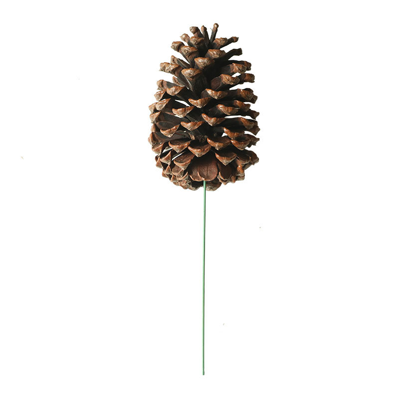 MW61200 Wholesale Artificial pine cone nature dried plants decoration For Christmas Decoration