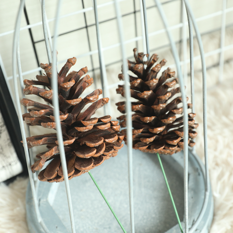 MW61200 Wholesale Artificial pine cone nature dried plants decoration For Christmas Decoration