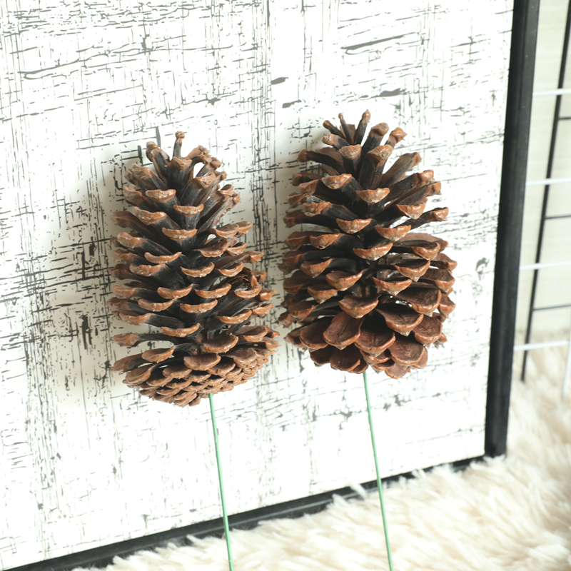 MW61200 Wholesale Artificial pine cone nature dried plants decoration For Christmas Decoration