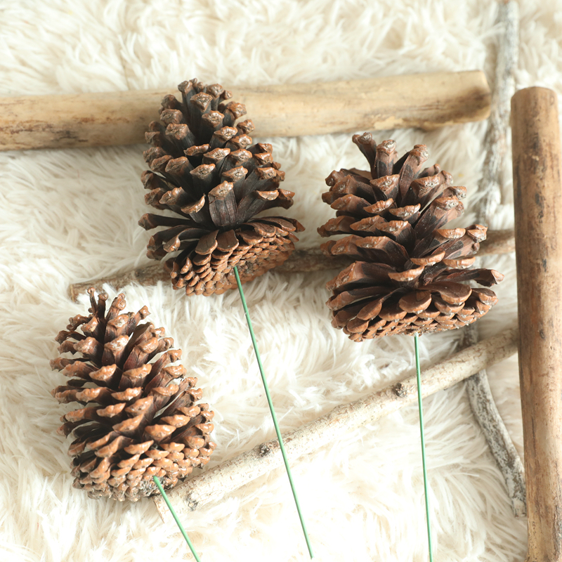 MW61200 Wholesale Artificial pine cone nature dried plants decoration For Christmas Decoration