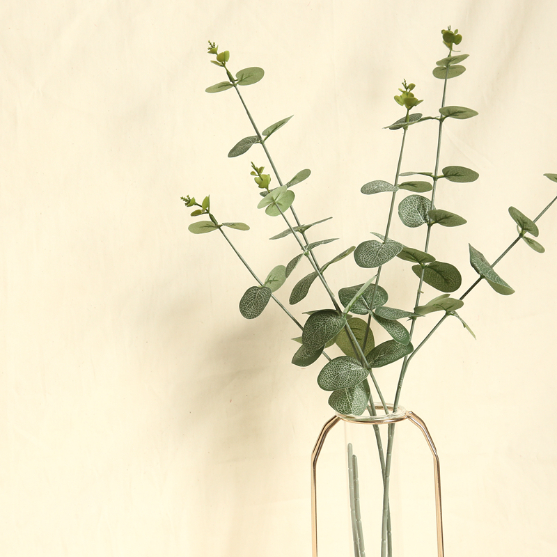 DY1-3213 High Quality Professional Grey Green Eucalyptus Leaf Branches Plant For Valentine's Day gift