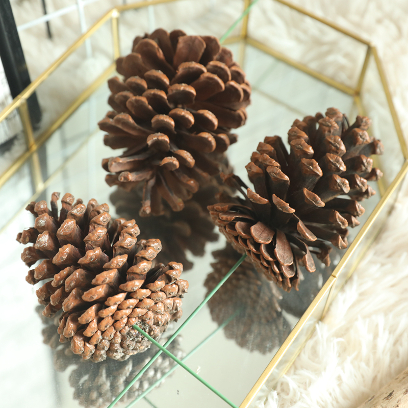 MW61200 Wholesale Artificial pine cone nature dried plants decoration For Christmas Decoration