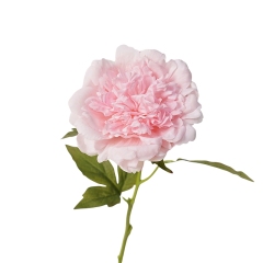 #5 light pink