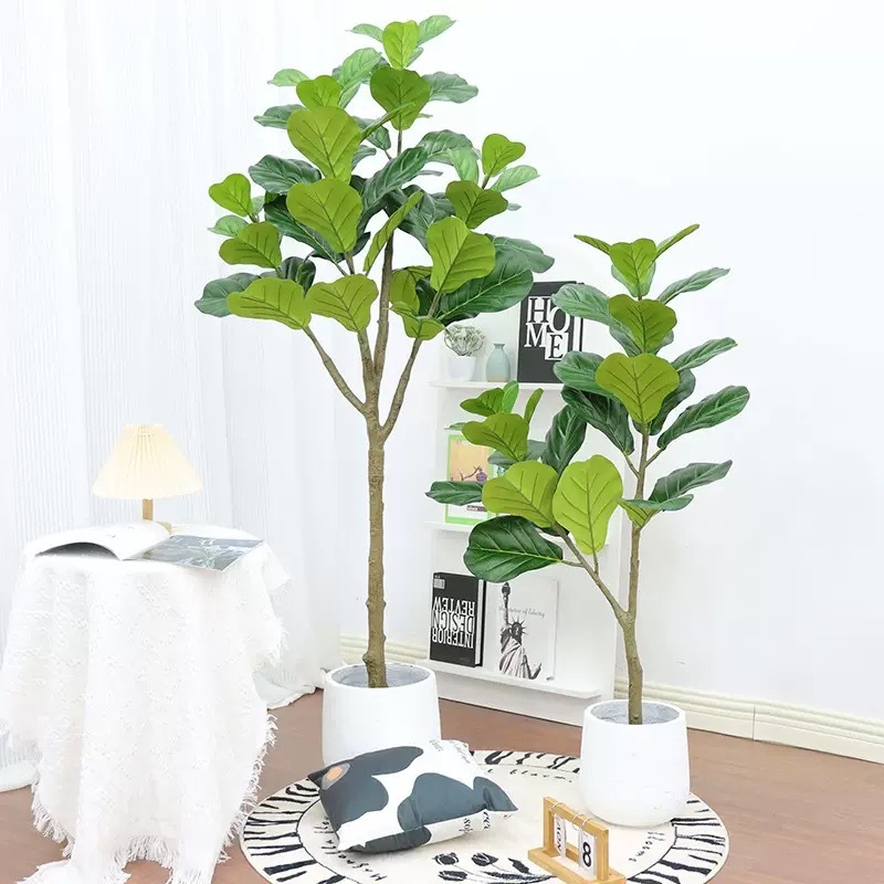 AP020 Artificial FICUS IYRATA Tree- Indoor Home/Garden Decorative Large Artificial Ficus Iyrrata Tree