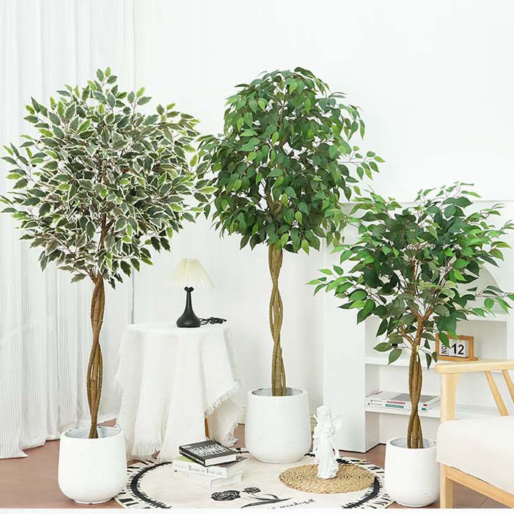 AP002-C Artificial BANYAN - Indoor Home/Garden Decorative Large Artificial Plant Banyan Tree