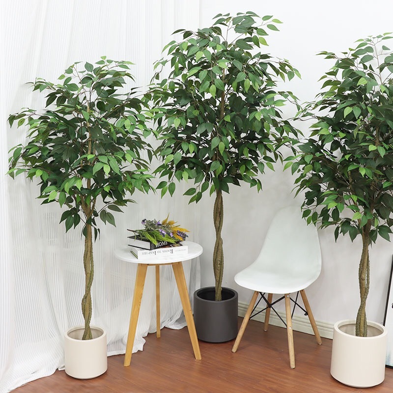 AP002-C Artificial BANYAN - Indoor Home/Garden Decorative Large Artificial Plant Banyan Tree