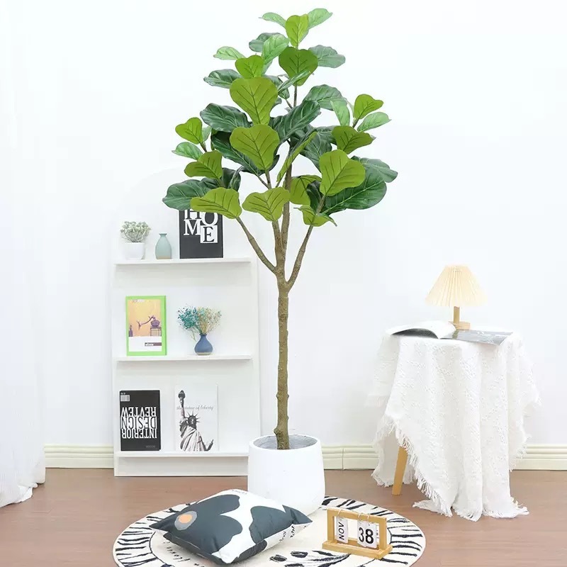 AP020 Artificial FICUS IYRATA Tree- Indoor Home/Garden Decorative Large Artificial Ficus Iyrrata Tree