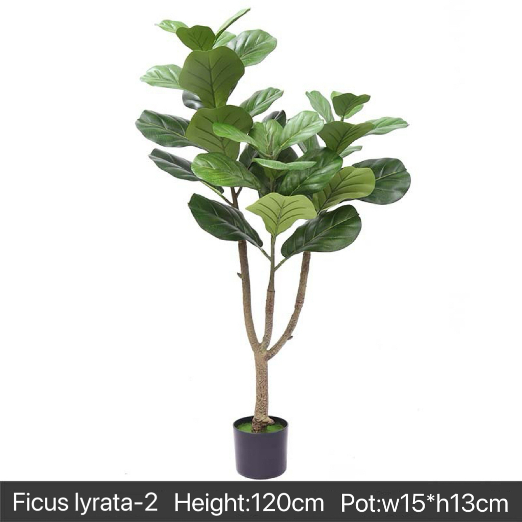 AP020 Artificial FICUS IYRATA Tree- Indoor Home/Garden Decorative Large Artificial Ficus Iyrrata Tree