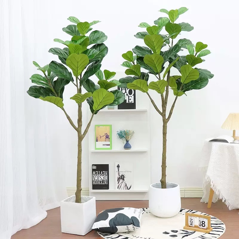 AP020 Artificial FICUS IYRATA Tree- Indoor Home/Garden Decorative Large Artificial Ficus Iyrrata Tree