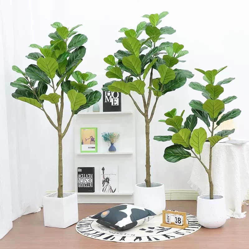 AP020 Artificial FICUS IYRATA Tree- Indoor Home/Garden Decorative Large Artificial Ficus Iyrrata Tree