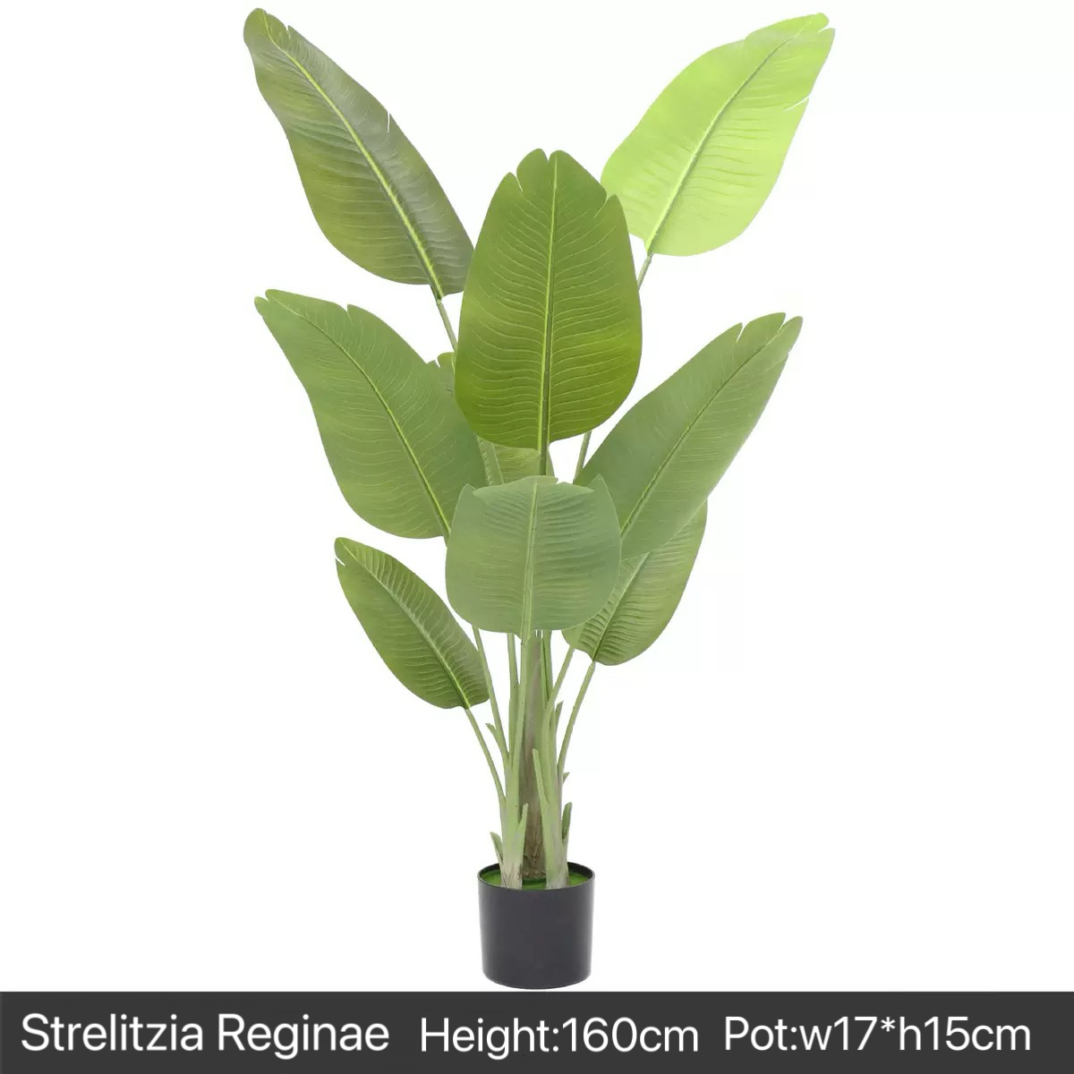 AP017-C Artificial TRAVELERS BANANA Treee - Indoor Home/Garden Decorative Large Artificial Tree