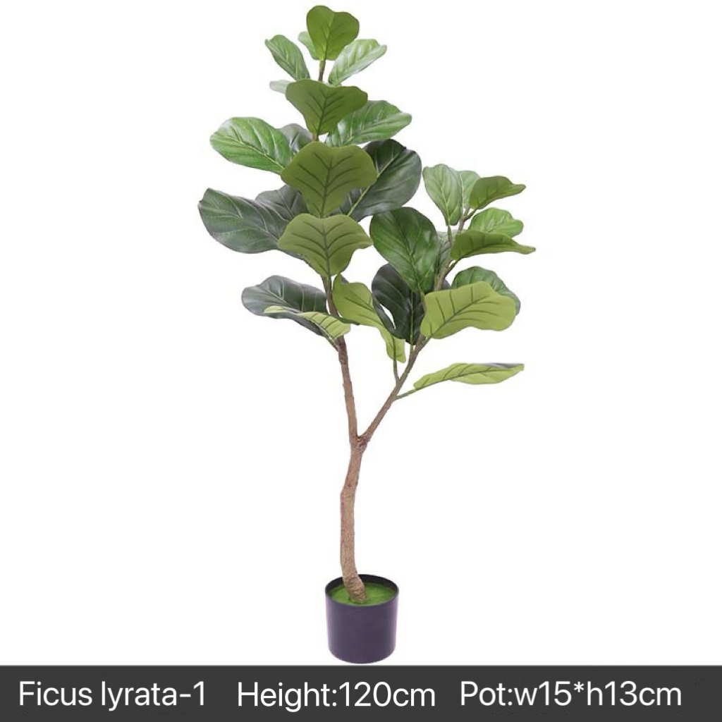 AP020 Artificial FICUS IYRATA Tree- Indoor Home/Garden Decorative Large Artificial Ficus Iyrrata Tree