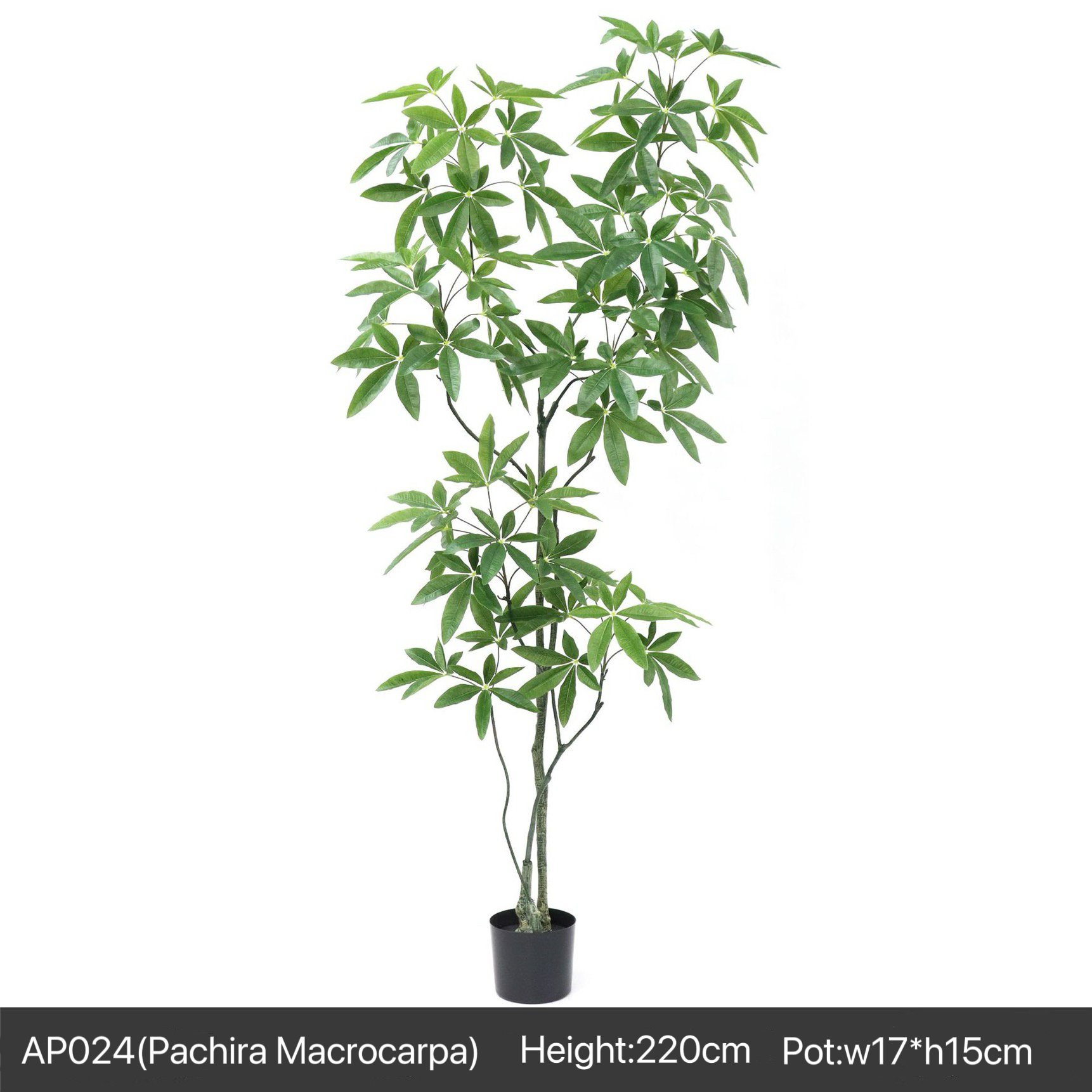 AP024 Artificial PACHIRA MACROCARPA - Indoor Home/Garden Decorative Large Artificial Pachira Macrocarpa Tree