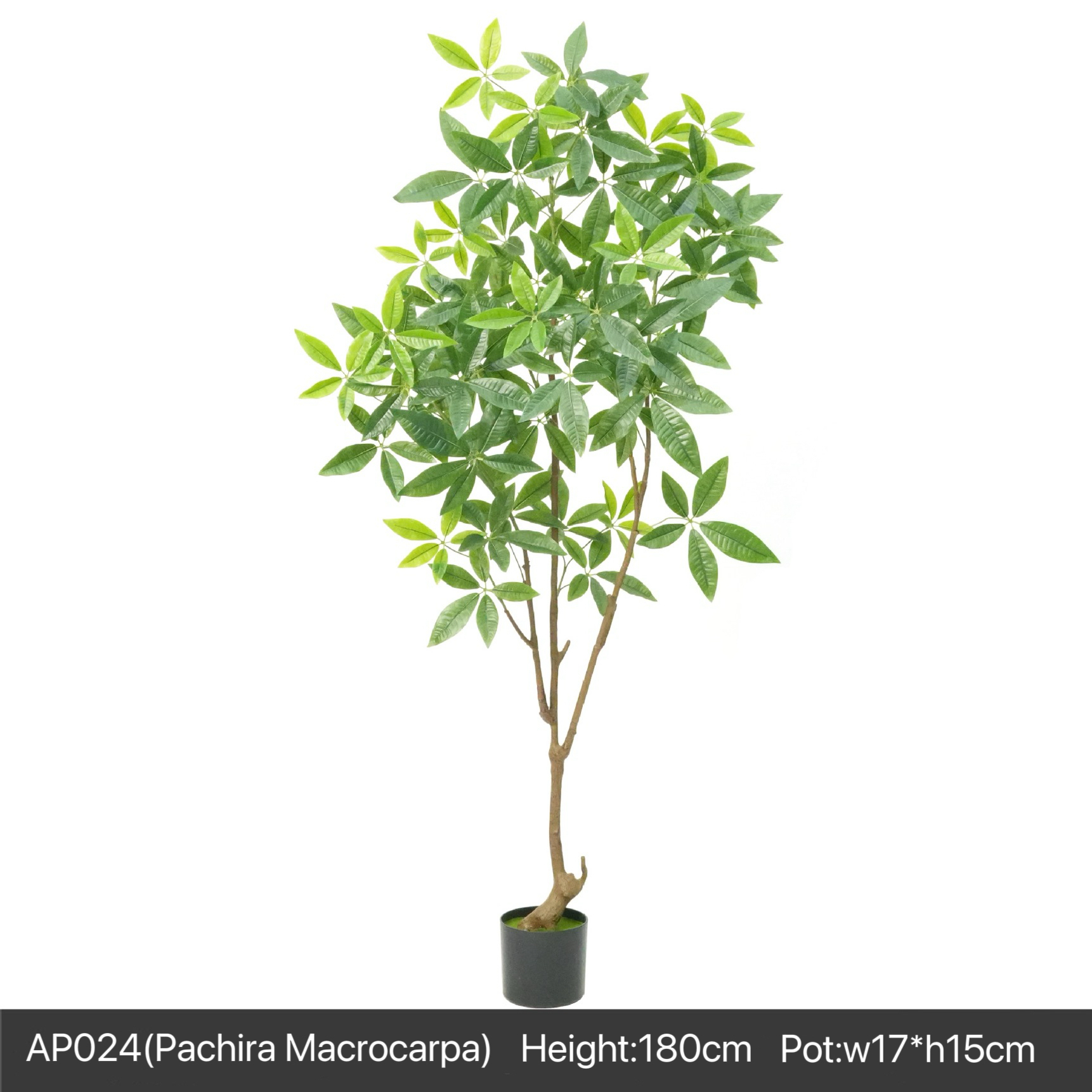 AP024 Artificial PACHIRA MACROCARPA - Indoor Home/Garden Decorative Large Artificial Pachira Macrocarpa Tree