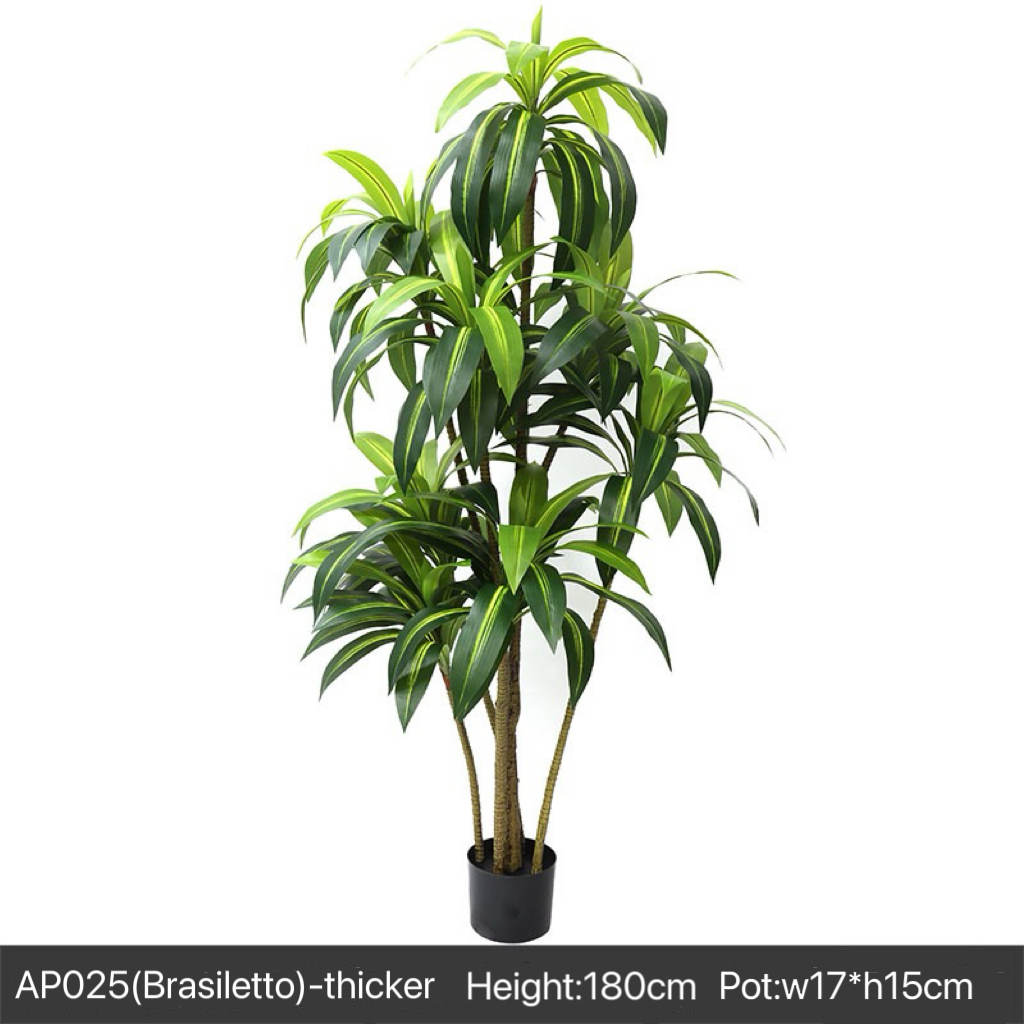 AP025 Artificial BRASSILETTO - Indoor Home/Garden Decorative Large Artificial Brasiletto Plant