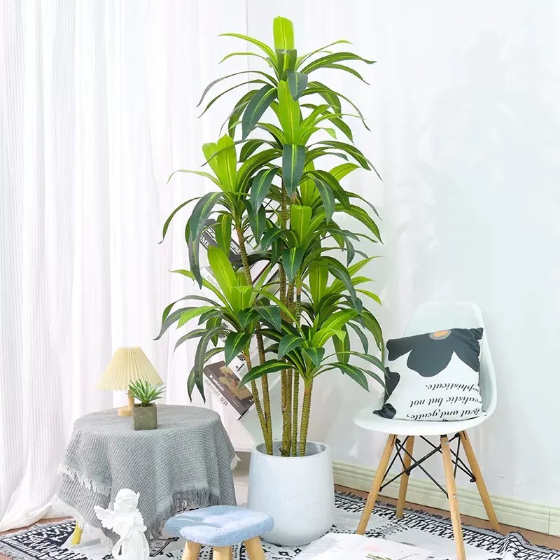 AP025 Artificial BRASSILETTO - Indoor Home/Garden Decorative Large Artificial Brasiletto Plant