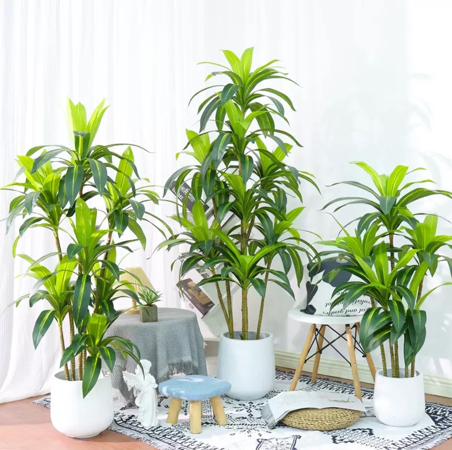 AP025 Artificial BRASSILETTO - Indoor Home/Garden Decorative Large Artificial Brasiletto Plant