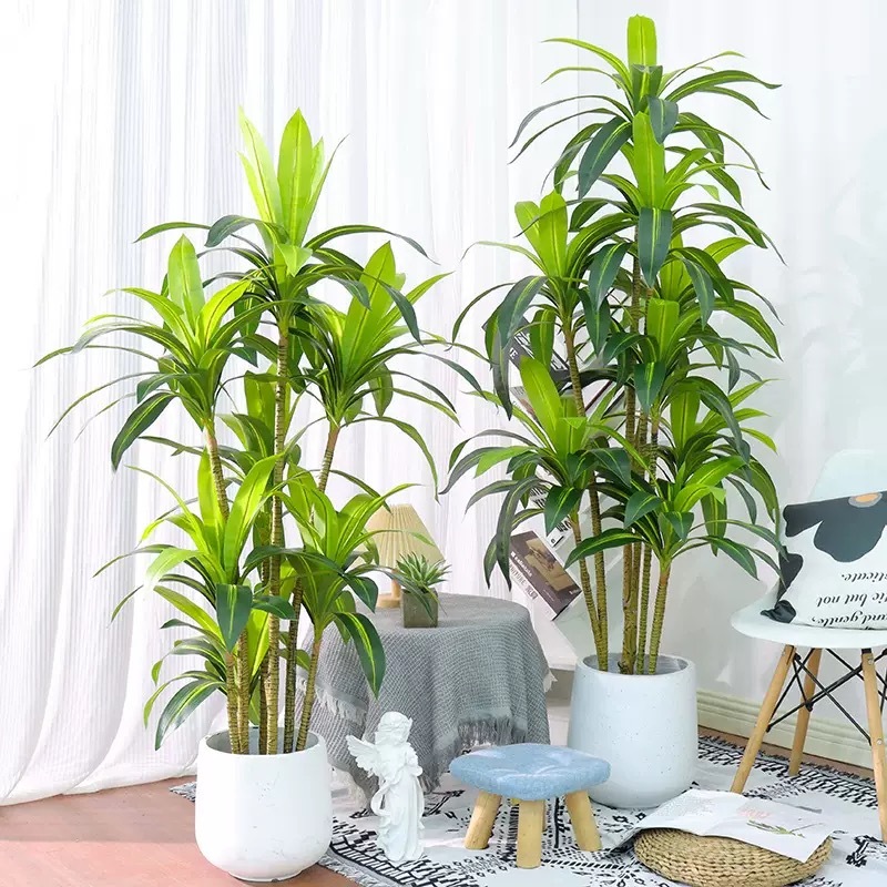 AP025 Artificial BRASSILETTO - Indoor Home/Garden Decorative Large Artificial Brasiletto Plant