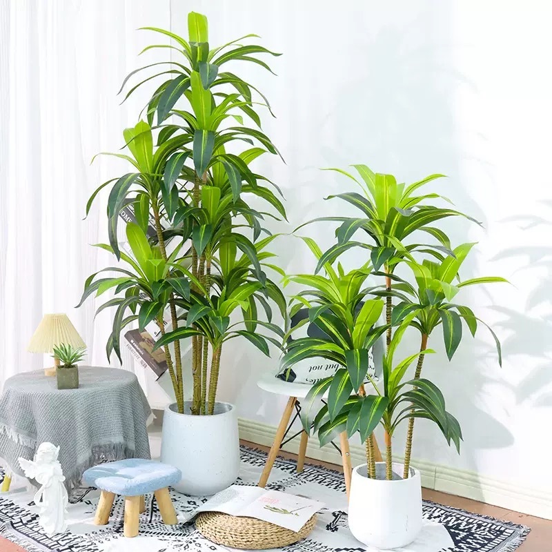 AP025 Artificial BRASSILETTO - Indoor Home/Garden Decorative Large Artificial Brasiletto Plant