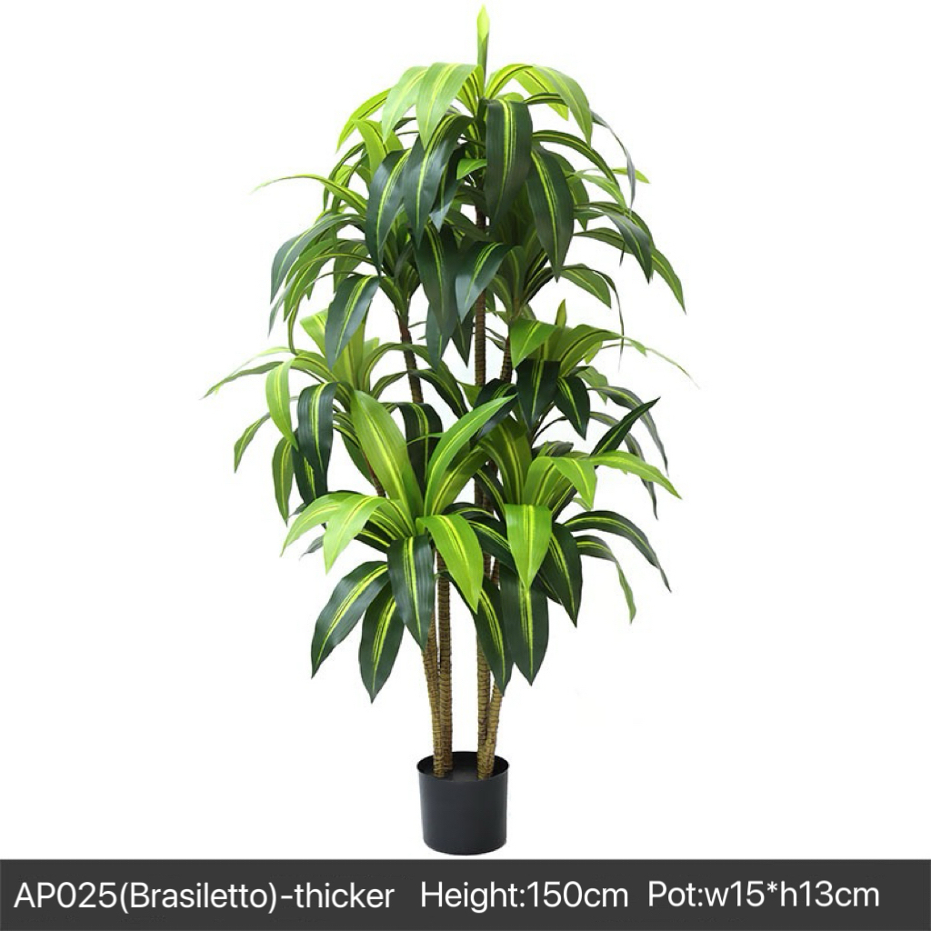 AP025 Artificial BRASSILETTO - Indoor Home/Garden Decorative Large Artificial Brasiletto Plant