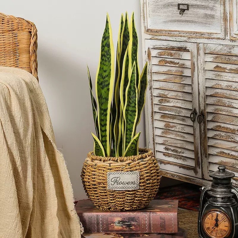 AP037 Artificial SNAKE PLANT - Indoor Home/Garden Decorative Large Artificial Snake Plants/Trees