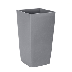 Cement gray
