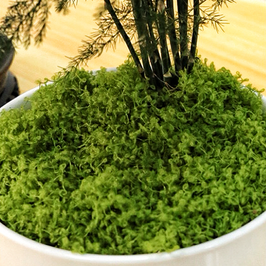 AP038 Artificial MOSS - Indoor Home/Garden Decorative Large Artificial Moss for Plants/Trees Decoration
