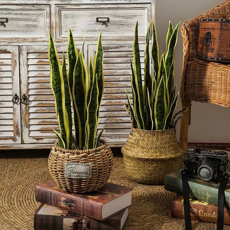 AP037 Artificial SNAKE PLANT - Indoor Home/Garden Decorative Large Artificial Snake Plants/Trees