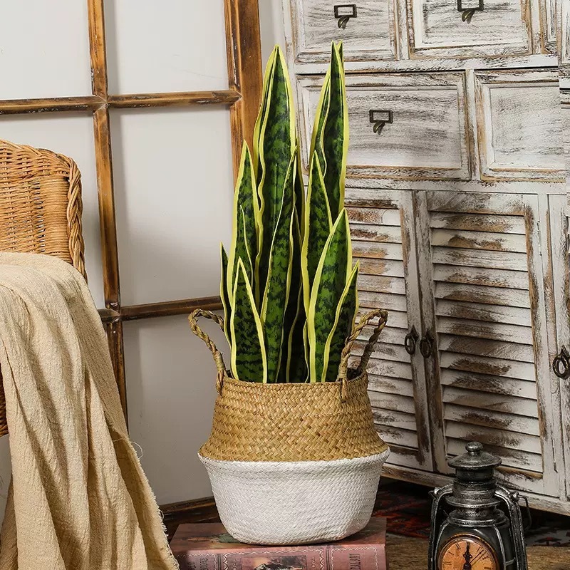 AP037 Artificial SNAKE PLANT - Indoor Home/Garden Decorative Large Artificial Snake Plants/Trees