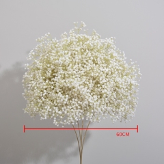 60 CM