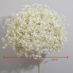 80CM