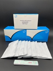 Amphetamine(AMP) Rapid Test