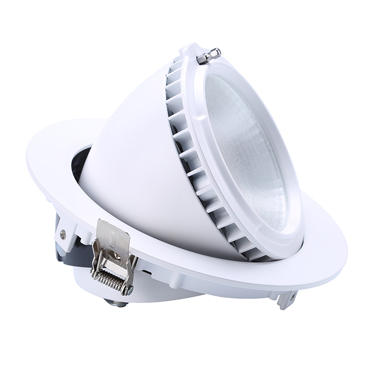 Gimbal LED Down Light – SMD01 Series - 20W/28W/38W