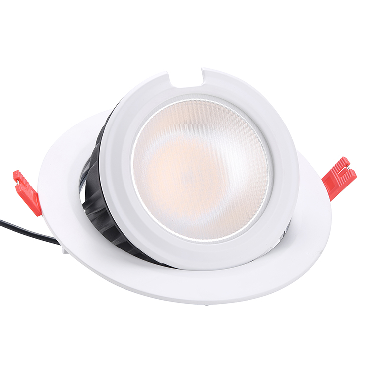 8 Inch 60W Gimbal LED Downlight – SMD01 Series - 20W/28W/38W/48W/60W