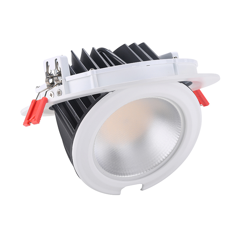 8 Inch 60W Gimbal LED Downlight – SMD01 Series - 20W/28W/38W/48W/60W