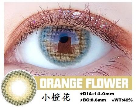 高端韓國年拋  小橙花 超保濕系列 敏感眼必備 中直徑