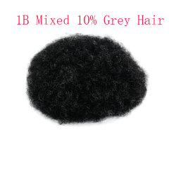 1B/10Grey Hair