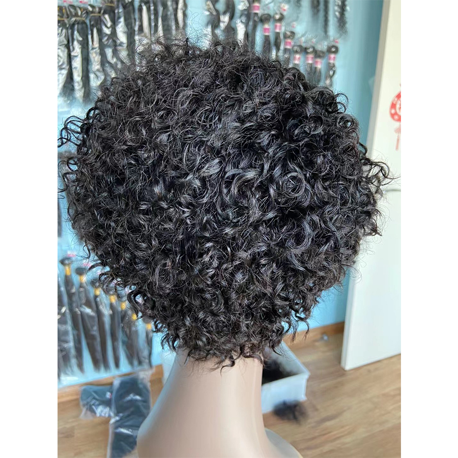 Short Curly Human Hair Wig Side J Part Lace Wigs for Black Women Human Hair Short Curly Bob Wigs Short Kinky Curly Human Hair Wigs for Black Women